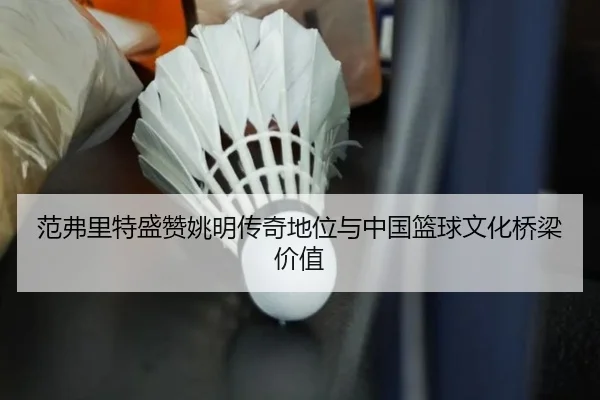范弗里特盛赞姚明传奇地位与中国篮球文化桥梁价值 - JiuyouSports